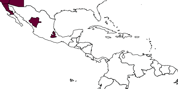 map of Ashmeadiella clypeodentata  clypeodentata   Michener, 1936